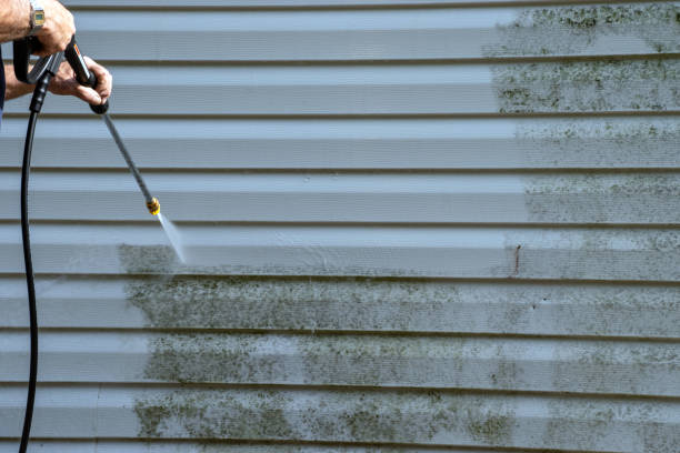 Professional Siding Installation & Repair in Dunnigan, CA