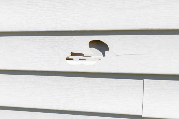 Siding for Commercial Buildings in Dunnigan, CA