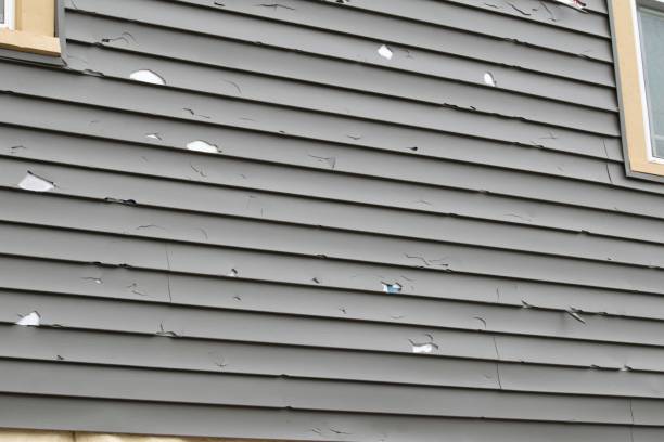 Best Custom Trim and Detailing for Siding  in Dunnigan, CA
